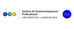  Instituto de Desarrollo Profesional- ICE (IDP-ICE)